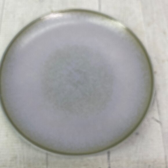 Chrissy Teigen GRAVINGS BLUE Color Motifs Textured Stoneware Salad Plates Set 4 - Picture 2 of 16